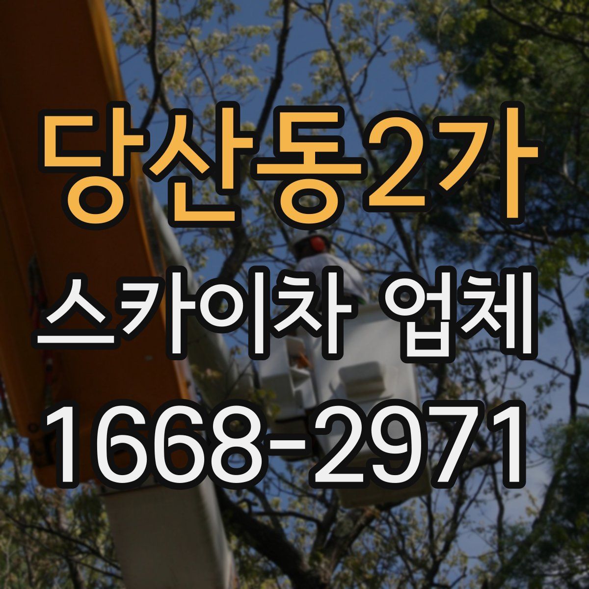 당산동2가 스카이차 업체