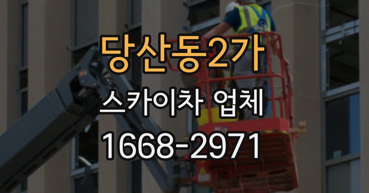 당산동2가 스카이차 업체