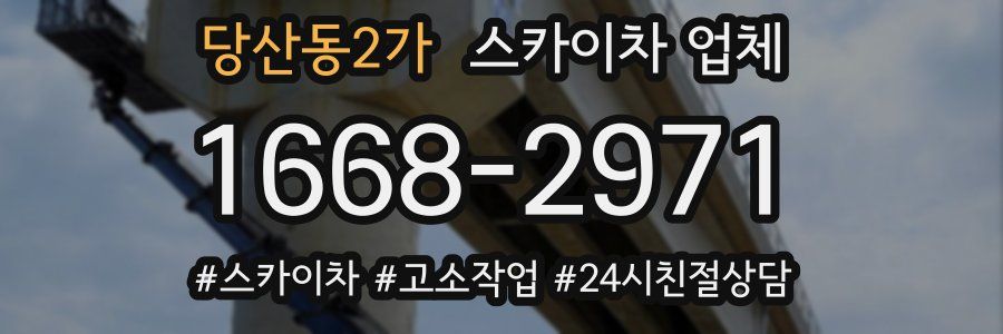 당산동2가 스카이차 업체