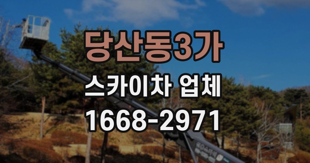 당산동3가 스카이차 업체