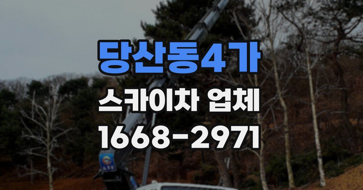 당산동4가 스카이차 업체