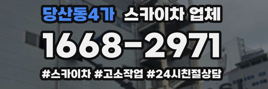당산동4가 스카이차 업체