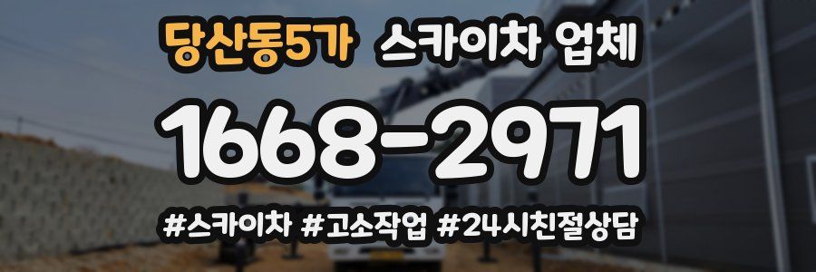 당산동5가 스카이차 업체