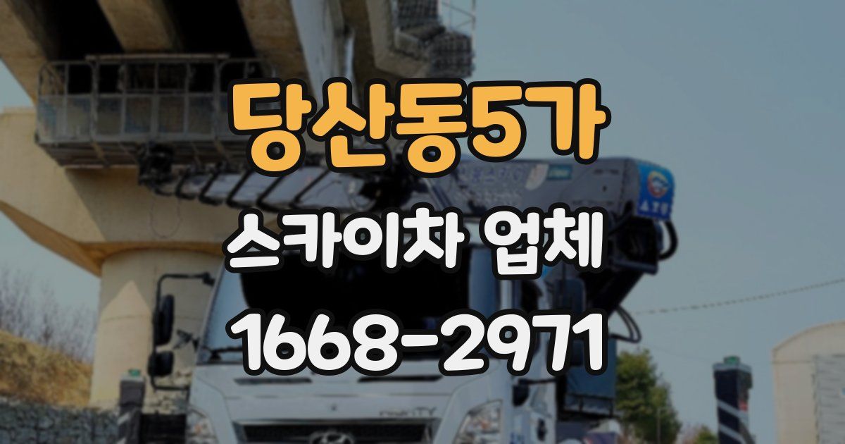 당산동5가 스카이차 업체