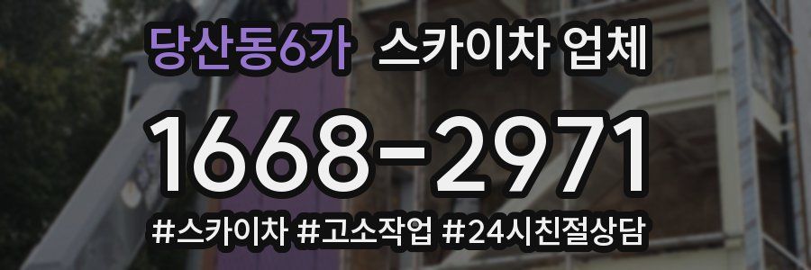 당산동6가 스카이차 업체
