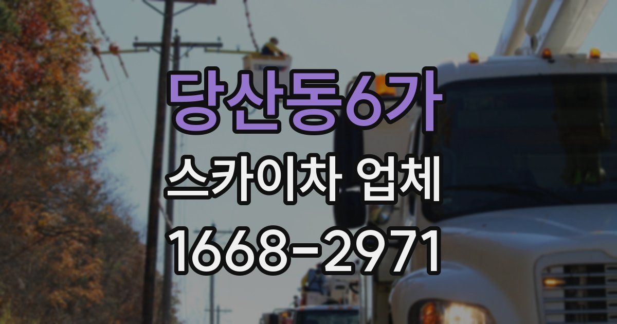 당산동6가 스카이차 업체