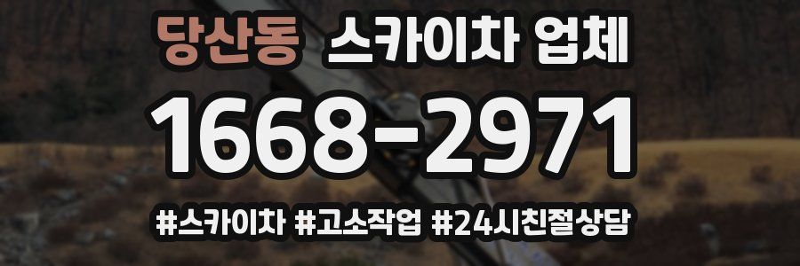 당산동 스카이차 업체