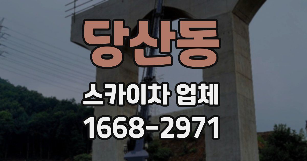 당산동 스카이차 업체