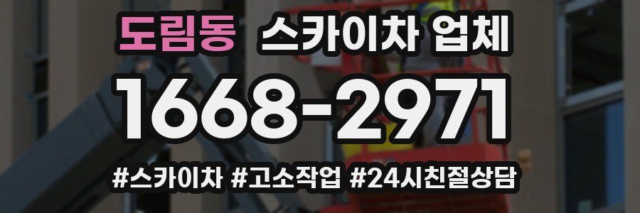 도림동 스카이차 업체