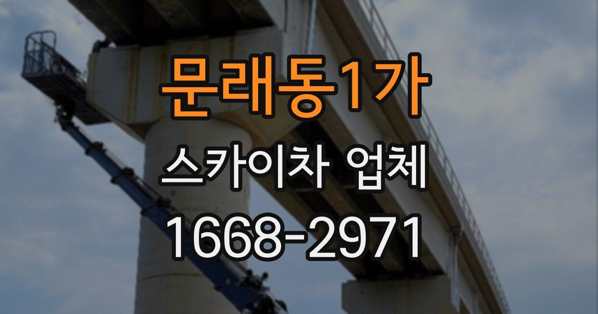 문래동1가 스카이차 업체