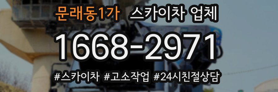문래동1가 스카이차 업체