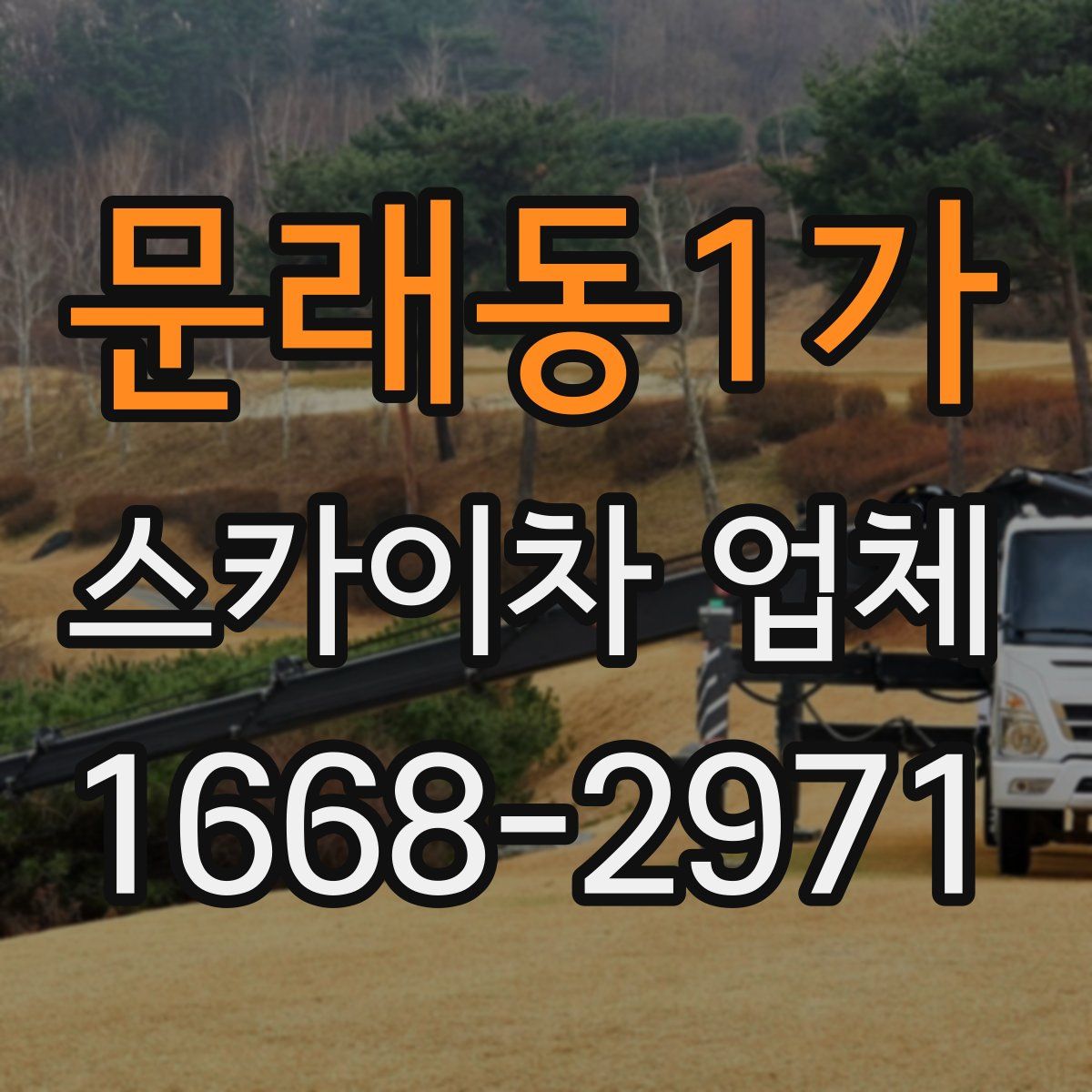 문래동1가 스카이차 업체