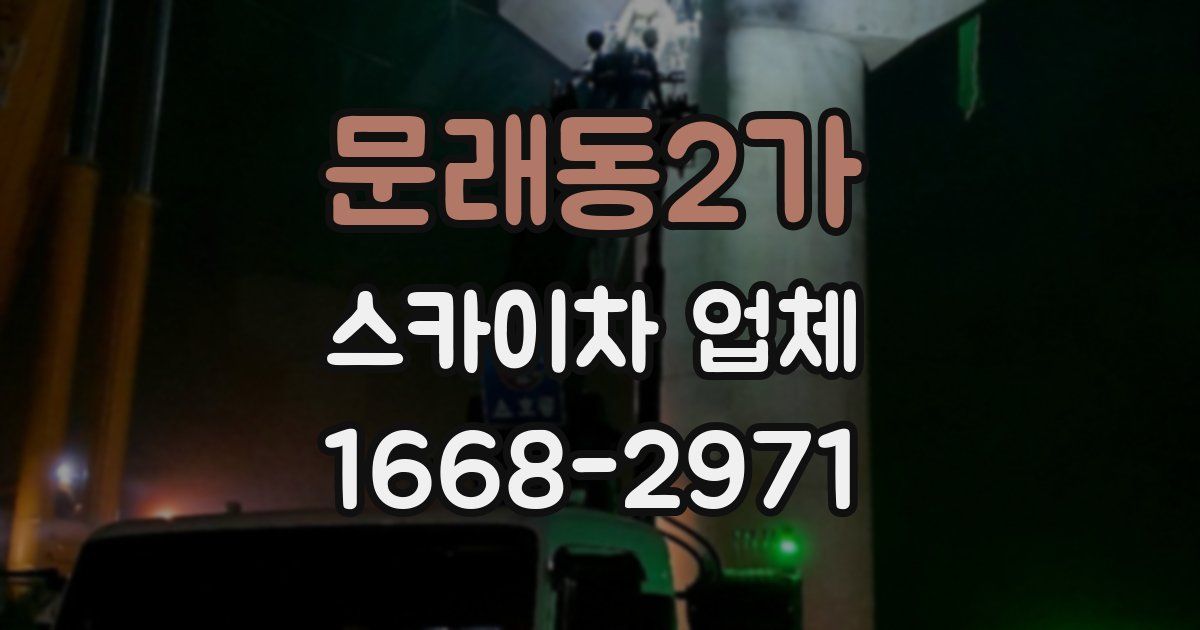 문래동2가 스카이차 업체