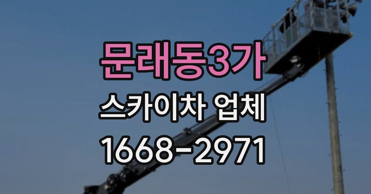 문래동3가 스카이차 업체