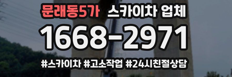 문래동5가 스카이차 업체