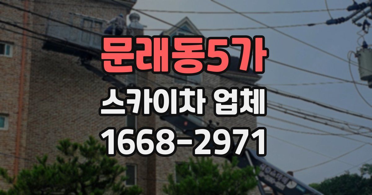 문래동5가 스카이차 업체