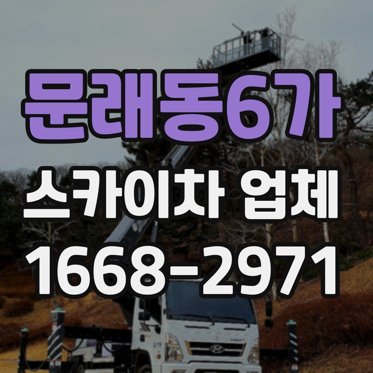 문래동6가 스카이차 업체