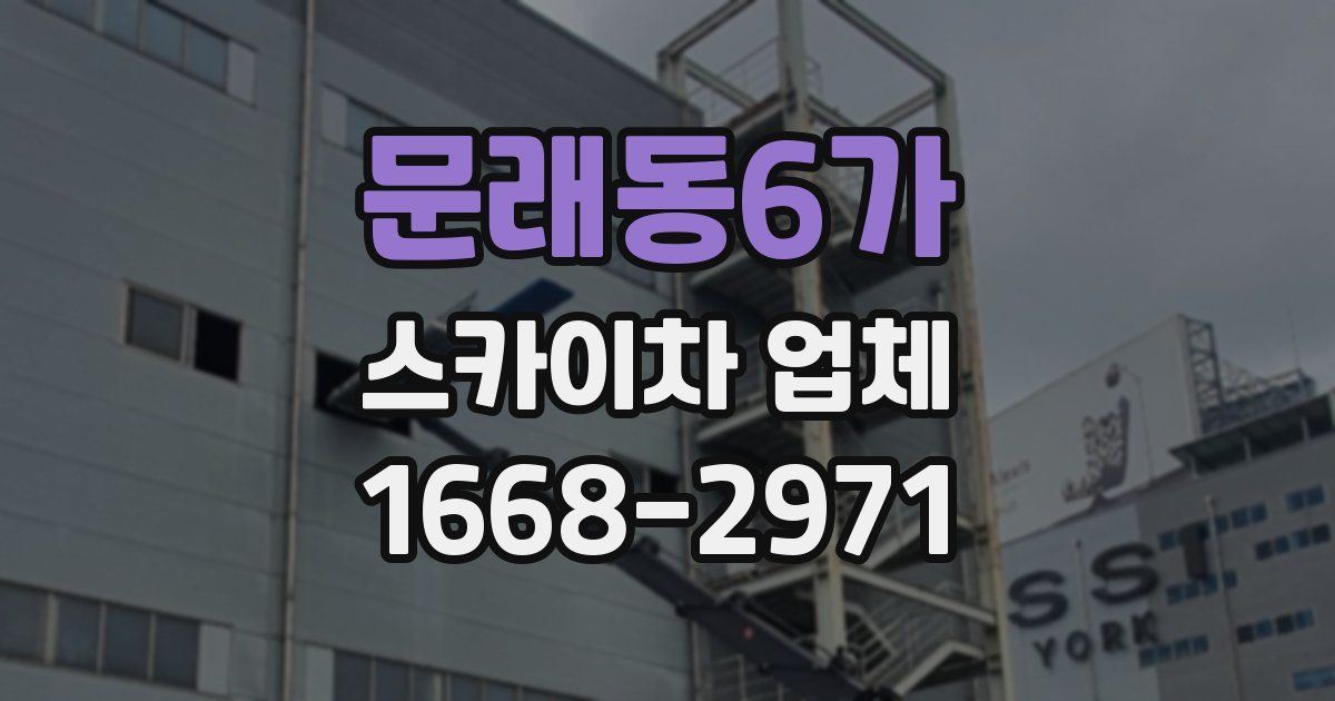 문래동6가 스카이차 업체