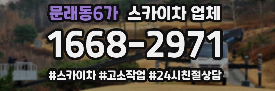 문래동6가 스카이차 업체