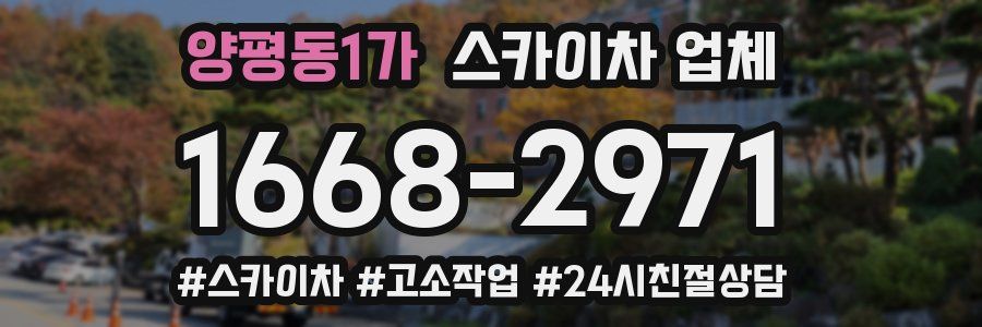 양평동1가 스카이차 업체