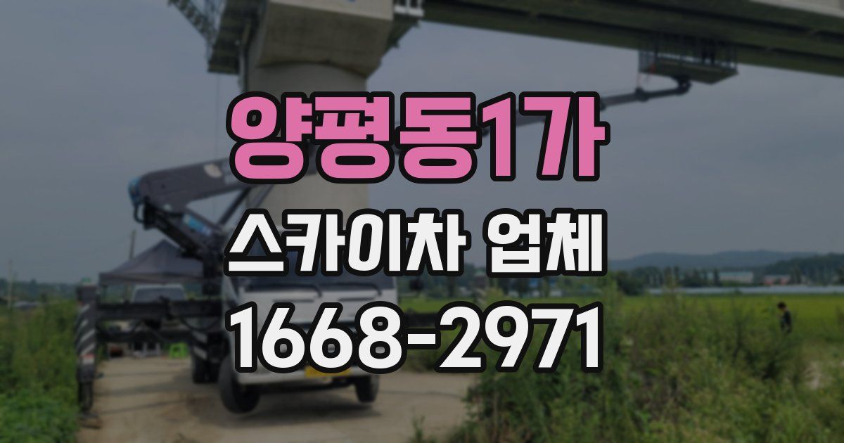 양평동1가 스카이차 업체