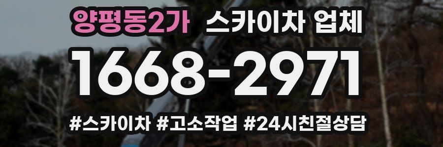 양평동2가 스카이차 업체