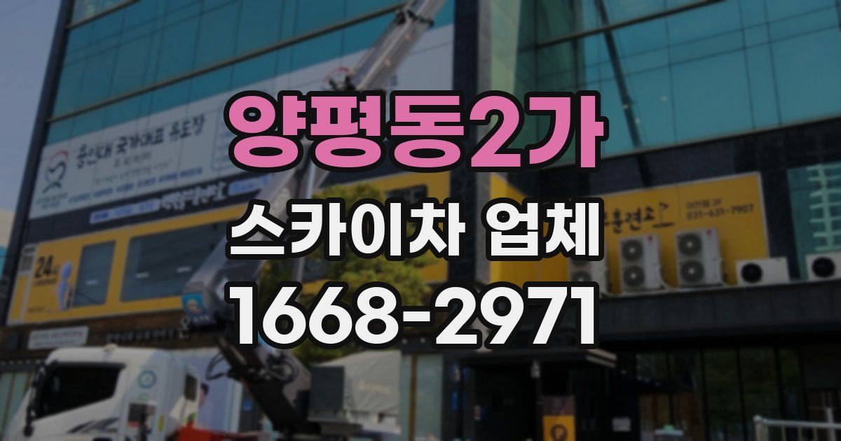 양평동2가 스카이차 업체