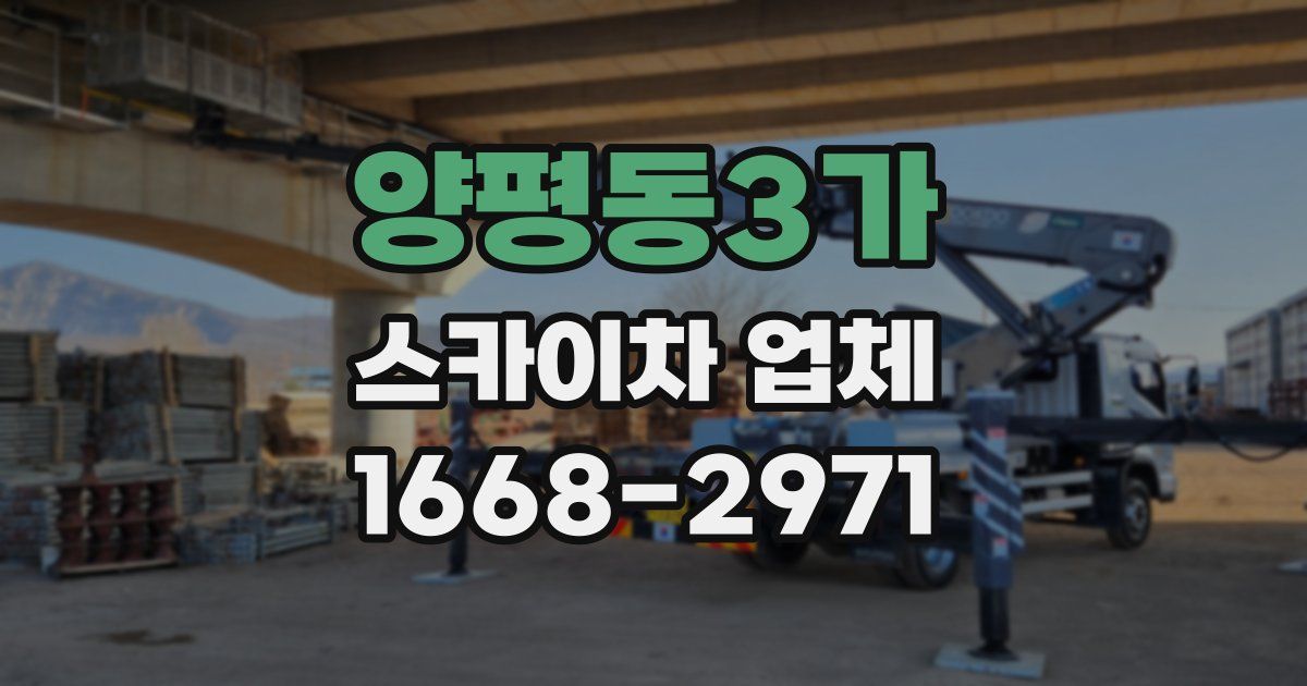 양평동3가 스카이차 업체