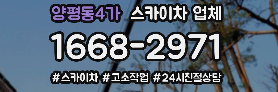 양평동4가 스카이차 업체