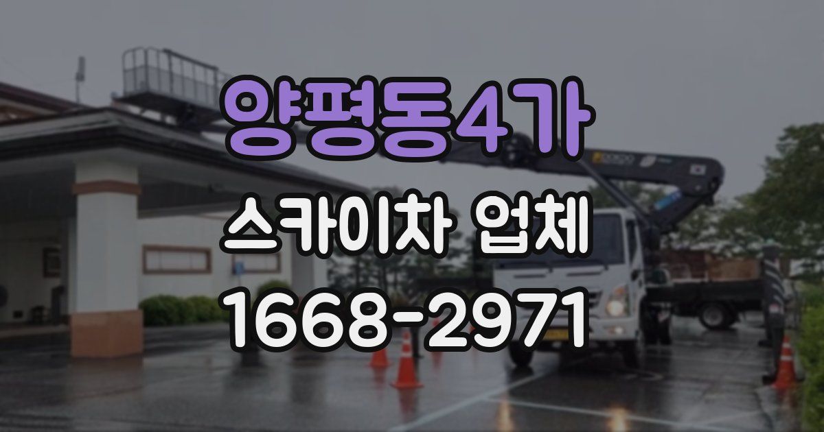 양평동4가 스카이차 업체
