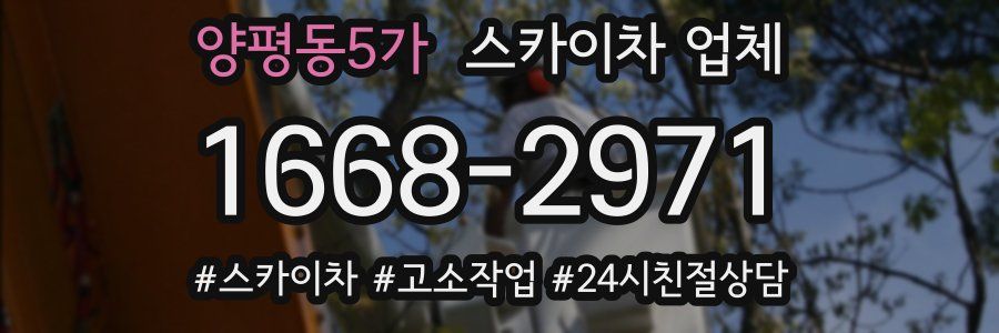 양평동5가 스카이차 업체
