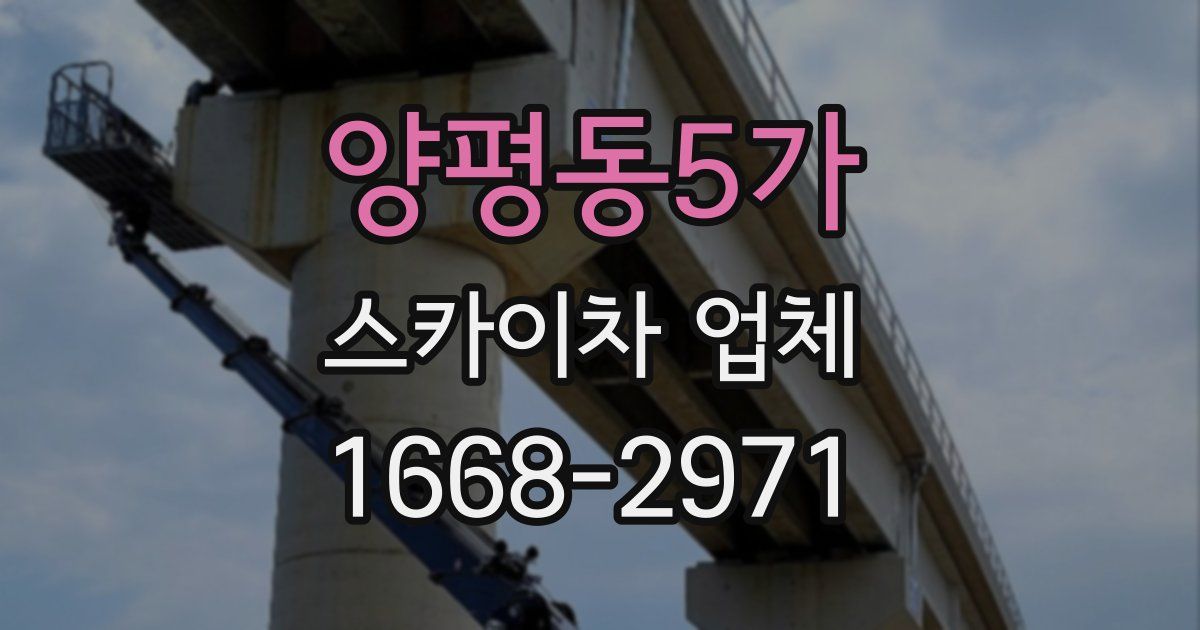 양평동5가 스카이차 업체