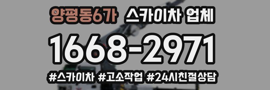 양평동6가 스카이차 업체