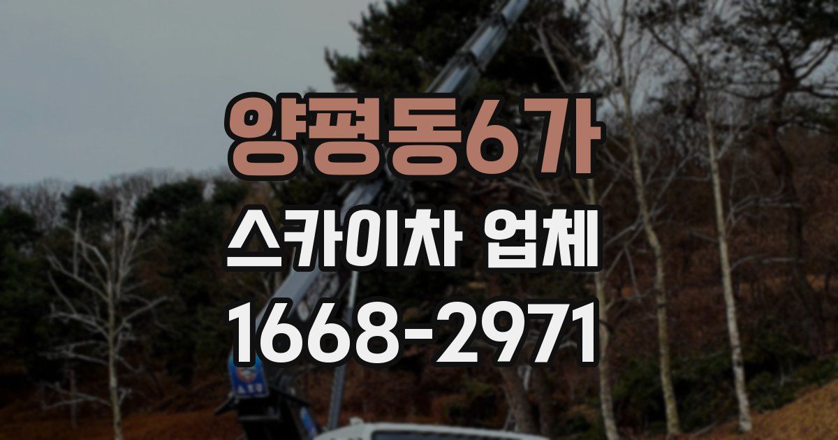 양평동6가 스카이차 업체