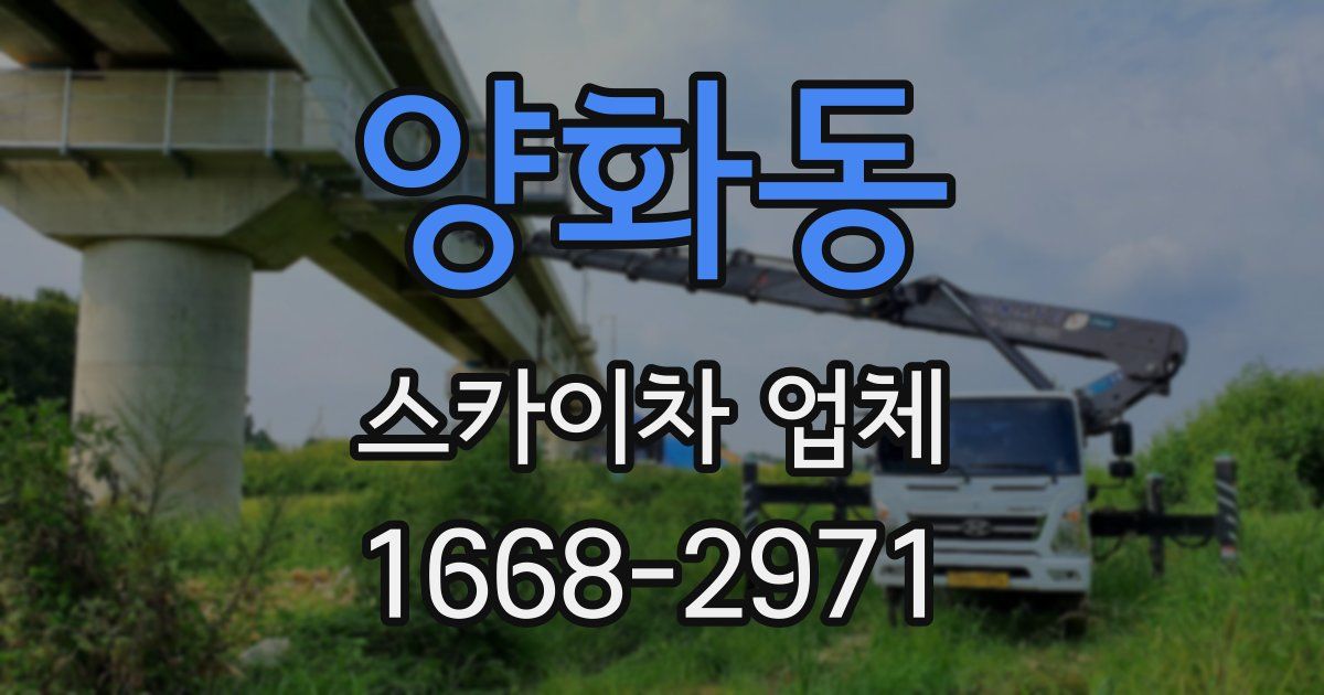 양화동 스카이차 업체