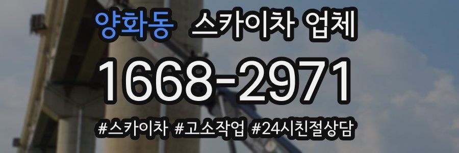 양화동 스카이차 업체