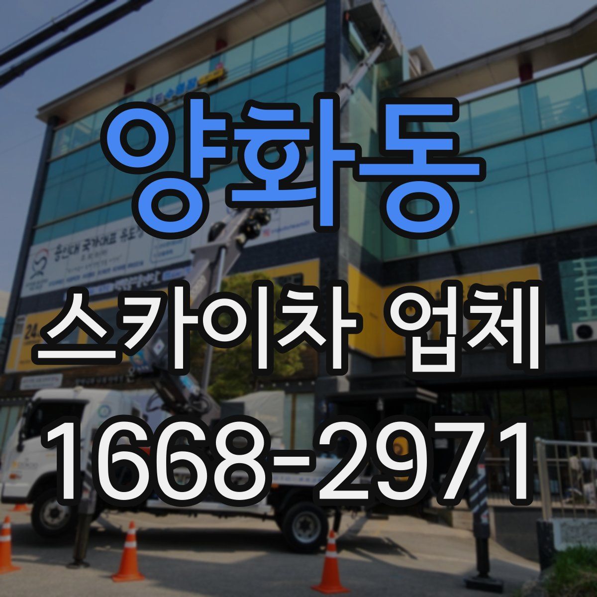 양화동 스카이차 업체