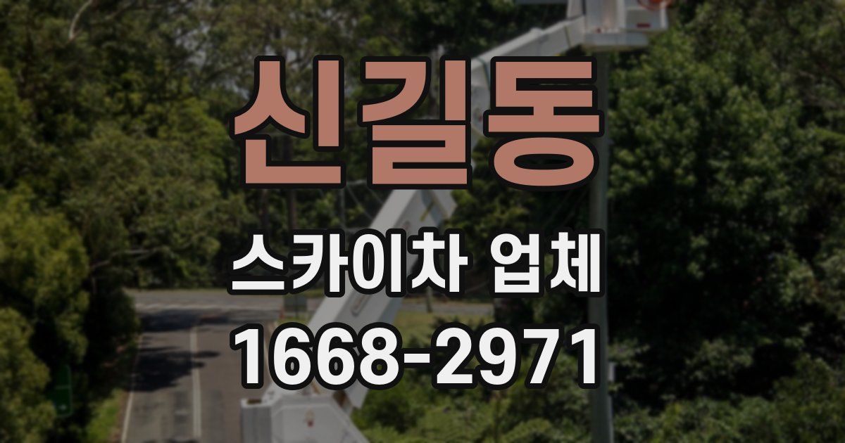 신길동 스카이차 업체