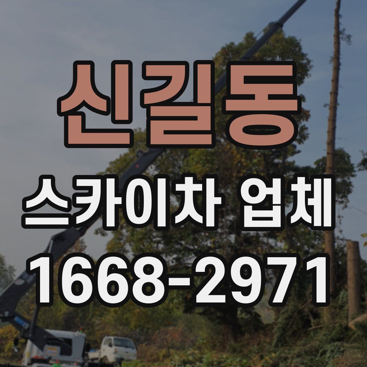 신길동 스카이차 업체
