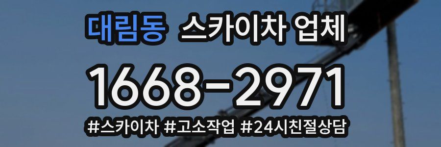 대림동 스카이차 업체