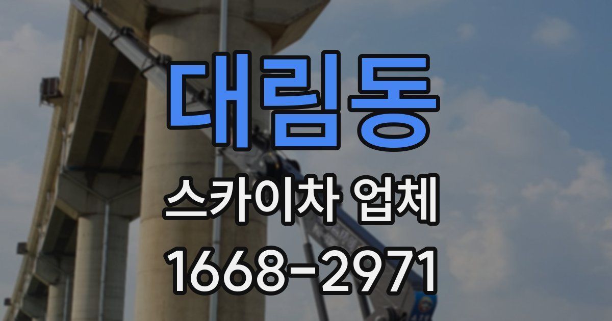 대림동 스카이차 업체