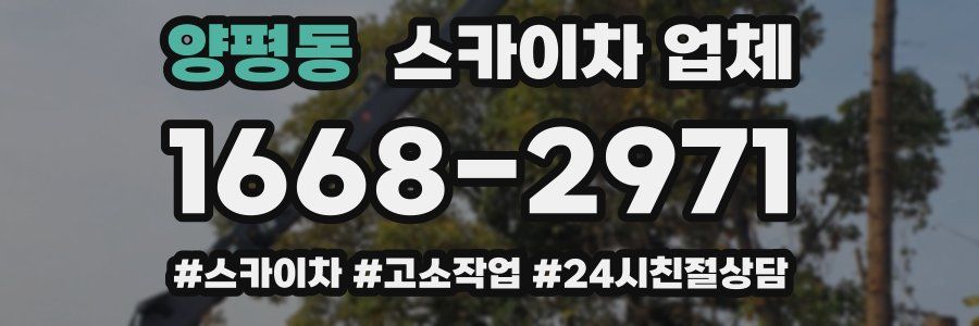 양평동 스카이차 업체