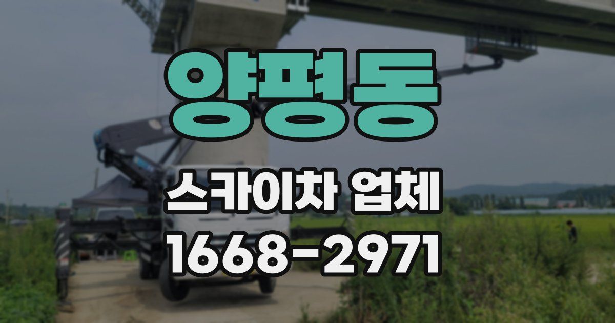 양평동 스카이차 업체