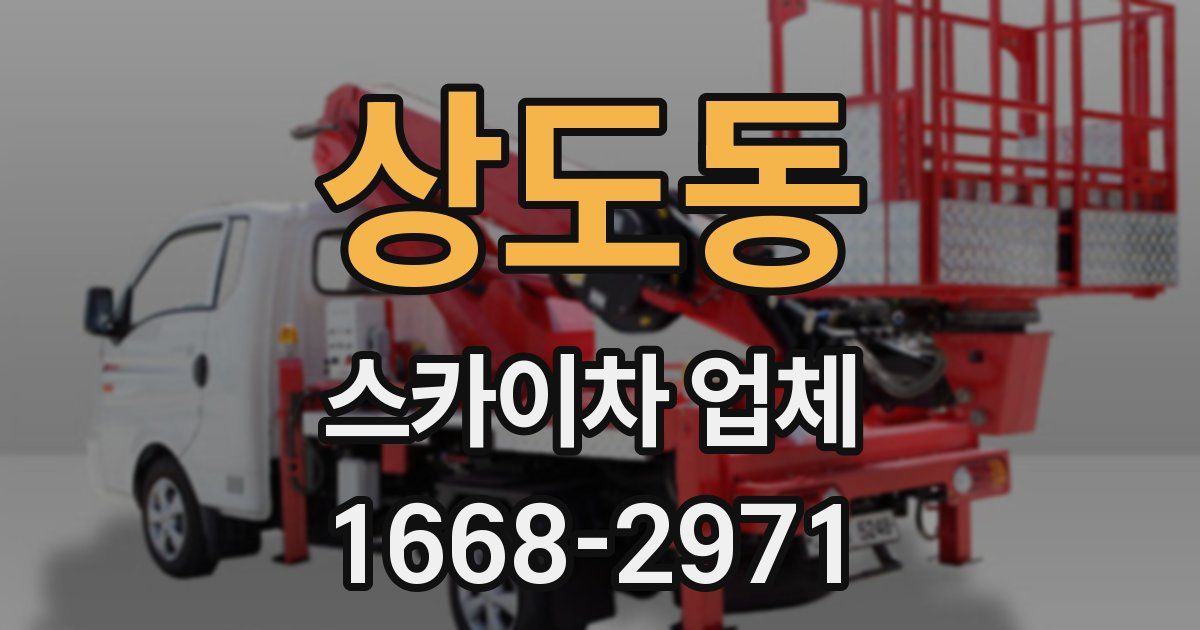 상도동 스카이차 업체