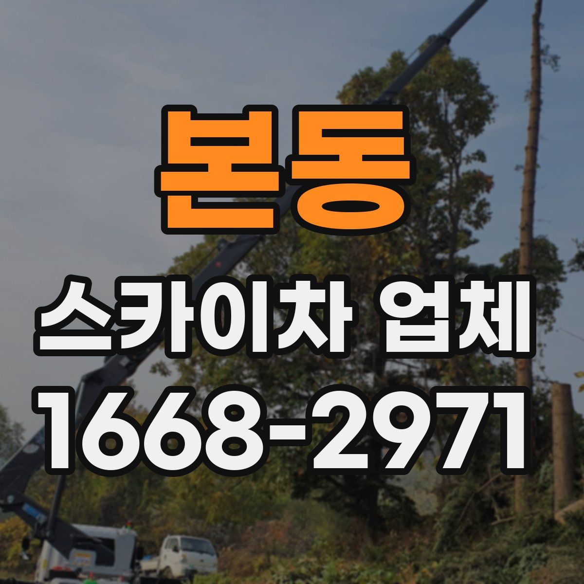 본동 스카이차 업체