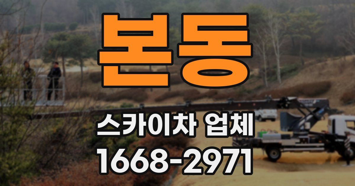 본동 스카이차 업체