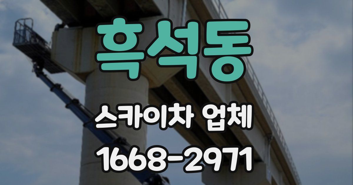 흑석동 스카이차 업체
