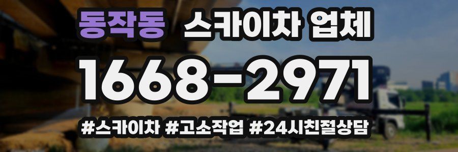 동작동 스카이차 업체