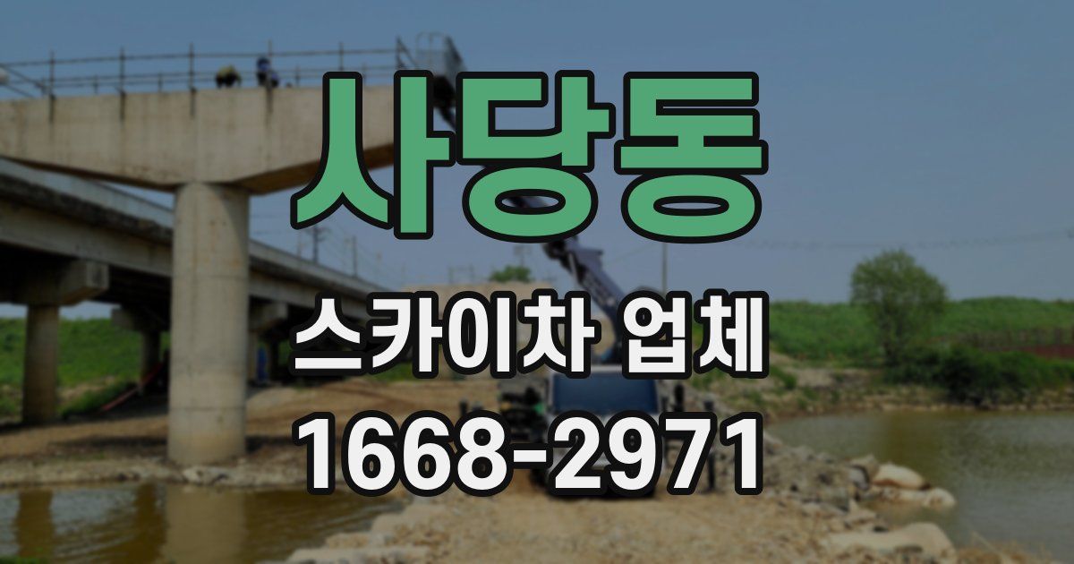 사당동 스카이차 업체