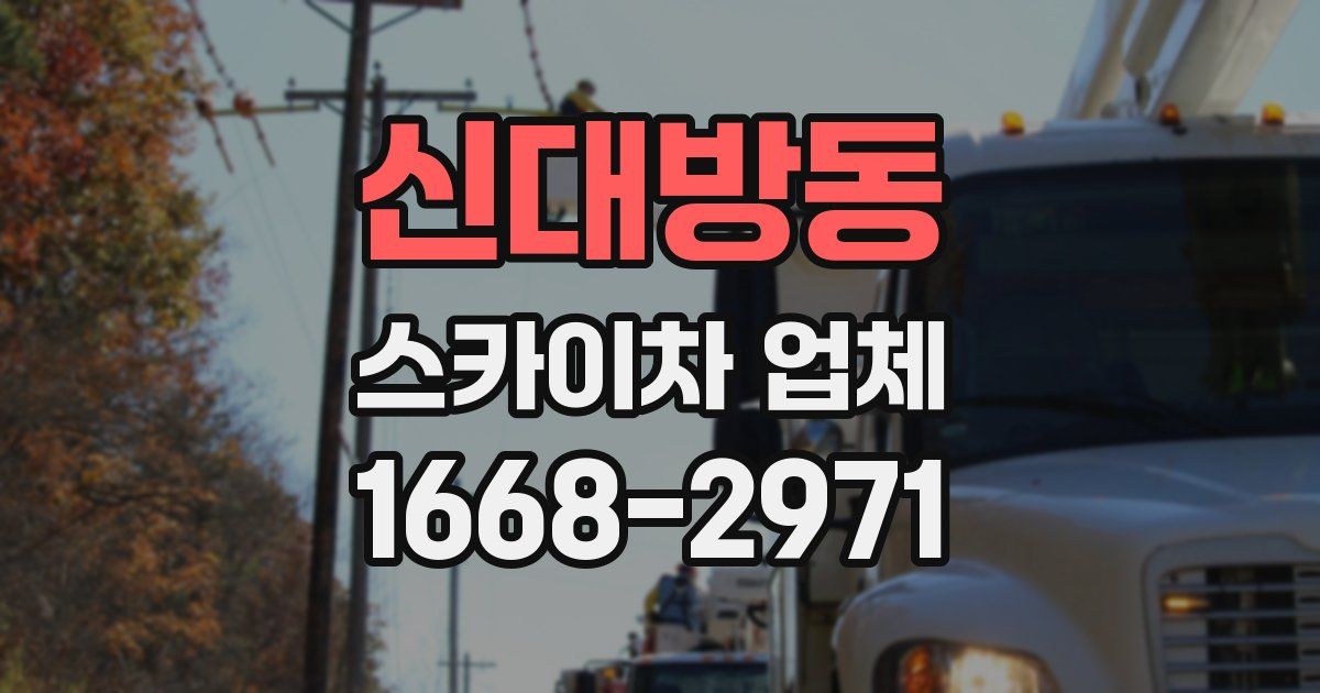 신대방동 스카이차 업체